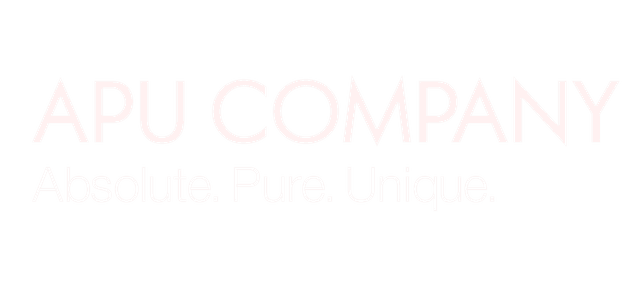 APU Company