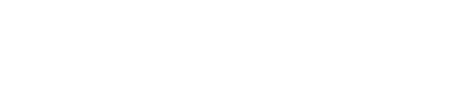 Leadership in HR policy